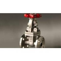 Aloyco 1/2in 117 150lb Flanged SS Gate Valve - Stainless Steel